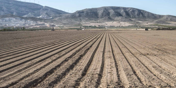 Inspección industrial y Areogeneradores con drones en Cádiz