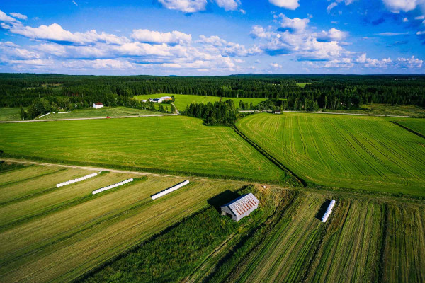 Segregar Fincas · Topógrafos Servicios Topográficos y Geomáticos El Bosque